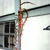 IMAG0012kb.jpg